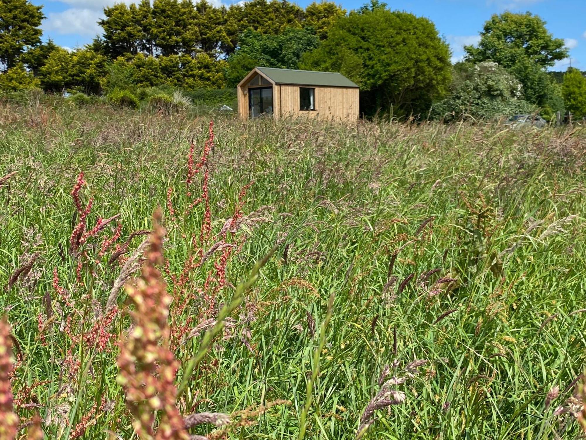 Otterly'S Retreat Skibbereen Exterior foto